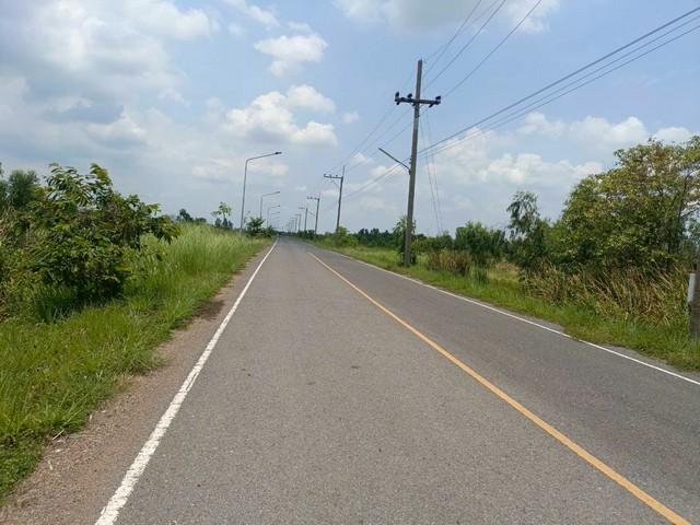 ขายที่ดินทรายมูล 2 ไร่ ติดถนน2ด้าน ใกล้ถนนเส้นรังสิต-นครนายก305-1กม. องครักษ์ นครนายก 6