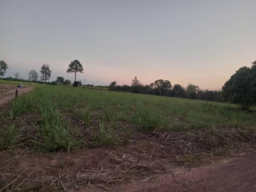 ที่ดิน 5ไร่ 1งาน ราคาไร่ละ2แสนบาท 3