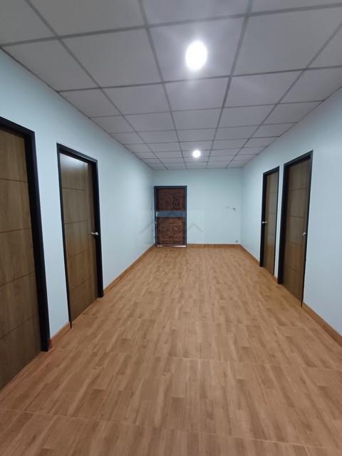 ให้เช่าบ้านเดี่ยว2ชั้น72ตรว.ย่านสุขุมวิท101-1วชิรธรรมสาธิต55รีโนเวทใหม่พร้อมเข้าอยู่ บ้านเปล่าไม่มีเฟอร์นิเจอร์ 4