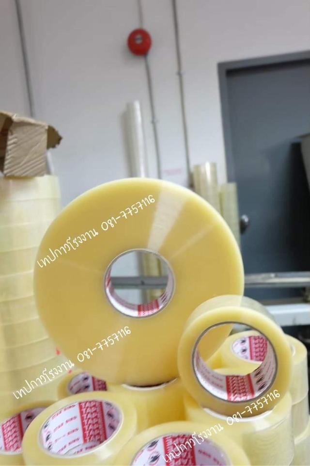 เทปปิดกล่อง เทปใส เทปขุ่น 081-7757116