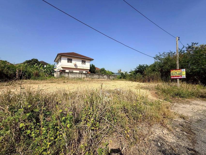 ขายด่วนที่ดินใกล้มหิดล 103 ตรว ถมแล้วทั้งแปลง ซ.สหพร 51 อ.พุทธมณฑล จ.นครปฐม 5