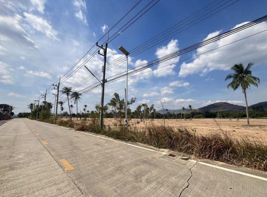 ขายที่ดินศักยภาพสูง ผังม่วงลาย (อุตสาหกรรม)  ชลบุรี บางละมุง นครแหลมชะบัง 4