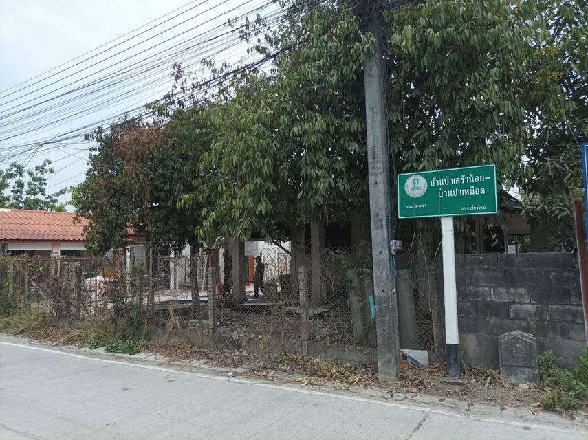 ขายบ้านพร้อมที่ดิน ต.สำราญราษฏร์ อ.ดอยสะเก็ด จ.เชียงใหม่ 9