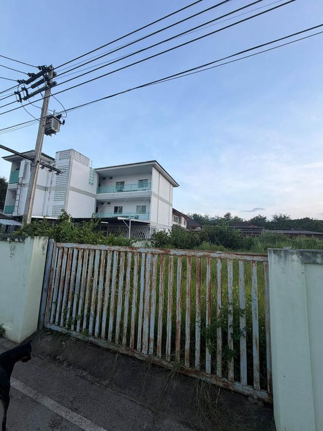 ที่ดินแปลงสวย ตำบลแม่เหียะ อำเภอเมืองเชียงใหม่ จังหวัดเชียงใหม่ 10