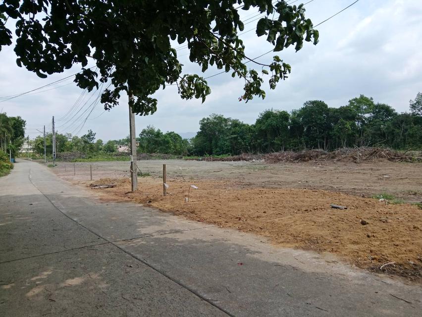 ขายที่ดินแบ่งแปลงเหมาะสำหรับสร้างบ้าน 1