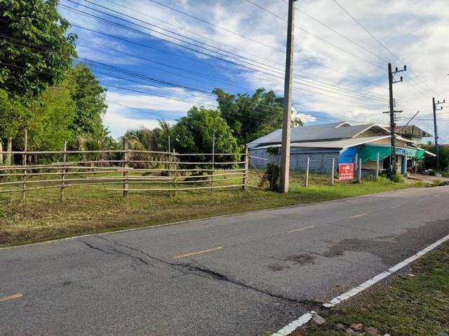 ขายที่ดิน ซอย 3 ต.พานพร้าว อ.ศรีเชียงใหม่ จ.หนองคาย ถนนริมโขง 5