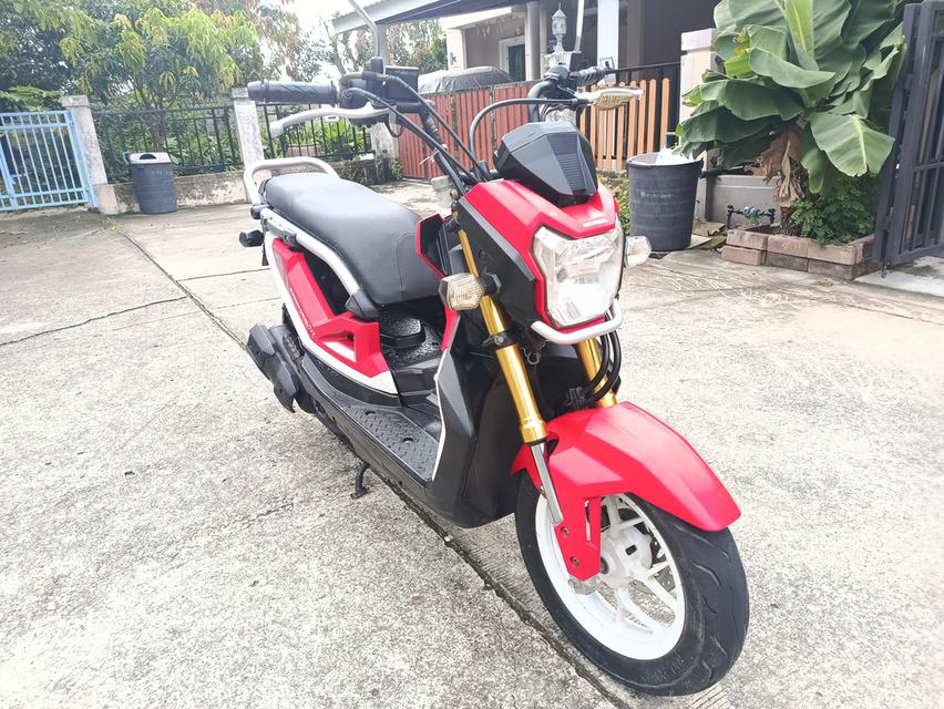 Zoomer -x  13