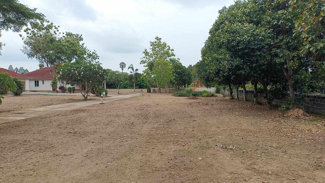 Land in Keang Rayong for Sale 6