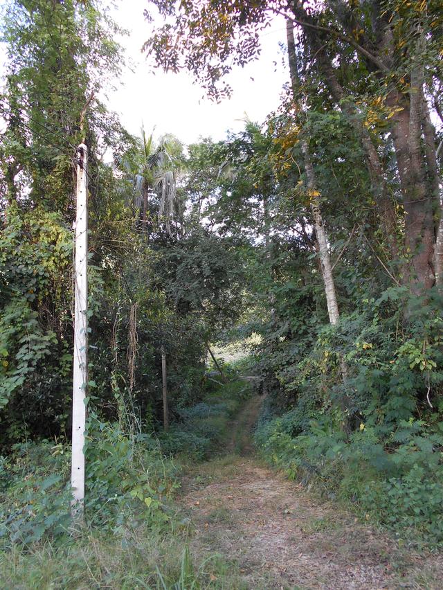 ที่ดินติดลำห้วย บ้านผาแดง ต.นายม อ.เมือง จ.เพชรบูรณ์ 18