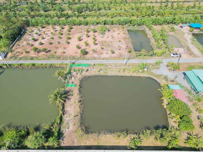 ที่ดินเปล่า ซอย สุวินทวงศ์ 27 ห่างถนนใหญ่เพียง 160 เมตร 2