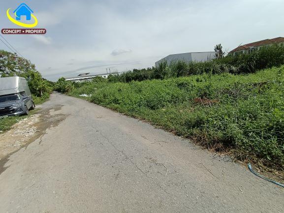 ขายที่ดิน 622 ตารางวา แบ่งแยกขายได้ 311 ตารางวา  ซอยเฉลิมพระเกียรติ ร.9 ซอย 30 แยก 14 ประเวศ 3