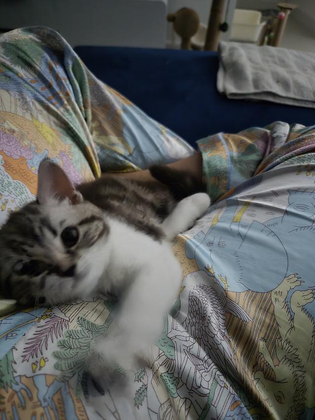 เด็กหญิง พร้อมย้าย พ่อแม่พกใบเพ็ดทั้งคู่ รูปที่ 11