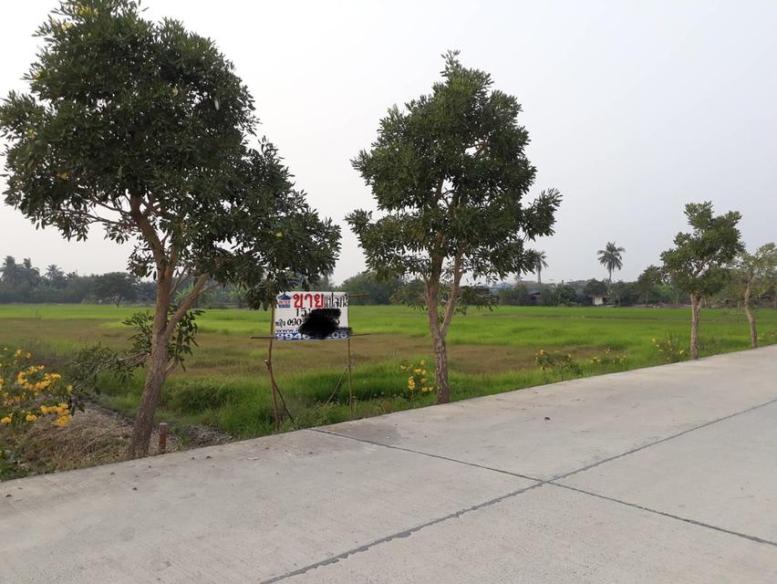 ขายที่ดิน 15-2-37.5 ไร่  หลังเซ็นทรัลศาลายา สามพราน นครปฐม  ที่สวย หน้ากว้าง ติดถนนคอนกรีตกว้าง 6.5 ม.  หลังติดคลอง สะดวก เข้าออกได้หลายทาง ทั้งบรมราช 4
