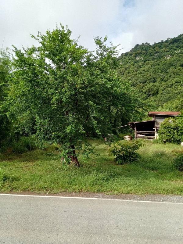 ขายด่วน! ที่ดินเปล่า ทำเลดี ใกล้เมืองนครสวรรค์ เนื้อที่ 160 ตร.ว. โทร 092-6869618 3