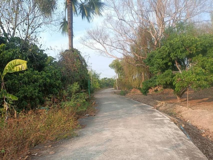 ขายที่ดินโฉนดครุฑแดง (เจ้าของขายเอง) 5