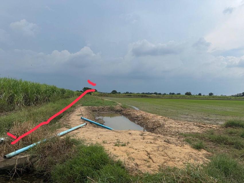 ที่ดิน ใกล้ ม.เกเกษตรกำแพงแสน 6