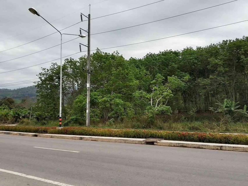 ขายสวนยาง 3.1ไร่ 60 ตรว ติดถนนสายหลัก ทำเลดี อำเภอขุนตาล จังหวัดเชียงราย 2