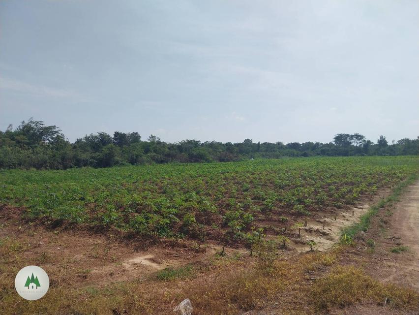 ขายที่ดิน โฉนดราคาถูก บ้านท่าเคย อำเภอสวนผึ้ง จังหวัดราชบุรี  เนื้อที่ 11 ไร่ 💰ราคาไร่ละ 230,000 บาท  2