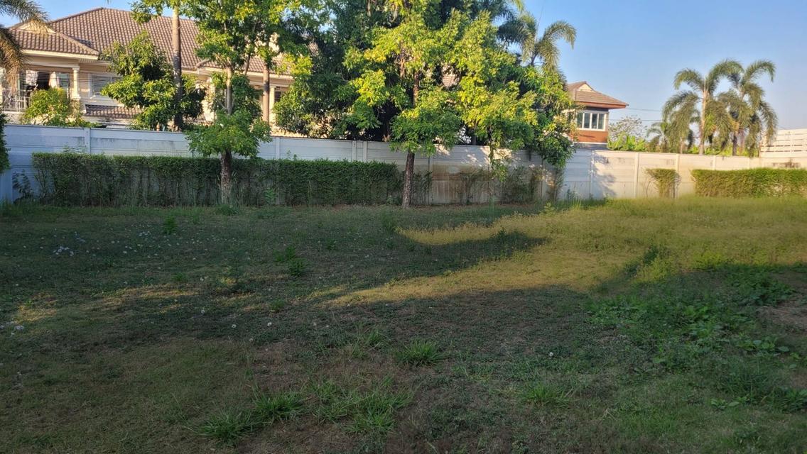 ขายที่ดินเปล่า แปลงมุม ที่ดินใหญ่ 137.70 ในโครงการ แกรนด์ พลีโน่ วัชรพล-สุขาภิบาล5 ติดถนนใหญ่ถนนสุขาภิบาล5 เดินทางสะดวก ใกล้2ทางด่วน 4