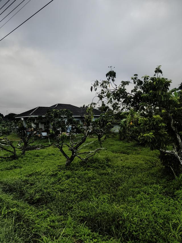 ที่ดินงามเชียงใหม่ 4