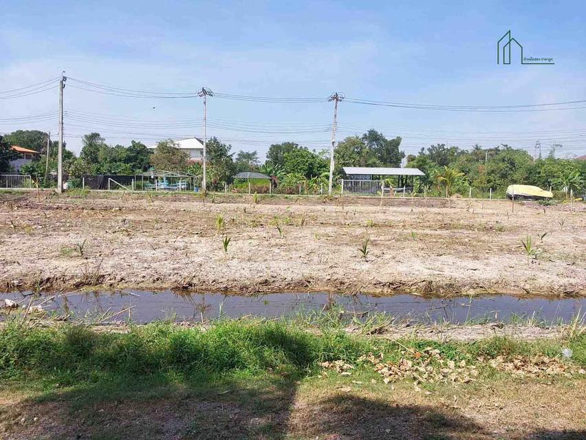 ที่ดิน 1 ไร่ 2 งาน 24 ตารางวา บางกรวย ไทรน้อย 43 ใกล้วัดบางกร่าง 6