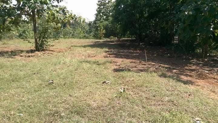 ที่รอออกเอกสารสิทธิ์7ไร่1งาน72ตารางวายกแปลง 220,000บาท​ ล้อมรั้วลวดหนามเรียบร้อย ติดถนนสาธารณะ 2ด้าน  มีต้นลำใยต้นมะม่วง ไผ่ มะพร้าว ต้นสัก ต้นมะขาม 5