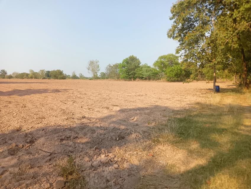 ที่ดินอสังหาริมทรัพย์ 6