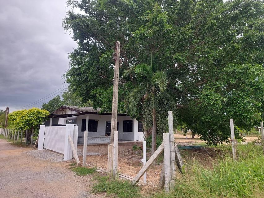 บ้านพร้อมที่ดินแปลงสวย 625ตรว.ต.วังขนาย อ.ท่าม่วง จ.กาญจนบุรี ห่างตลาดท่าม่วงเพียง10นาที 5