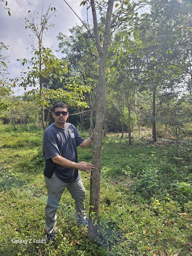 ที่ดินติดถนนสาย 33 ปราจีนบุรี 16