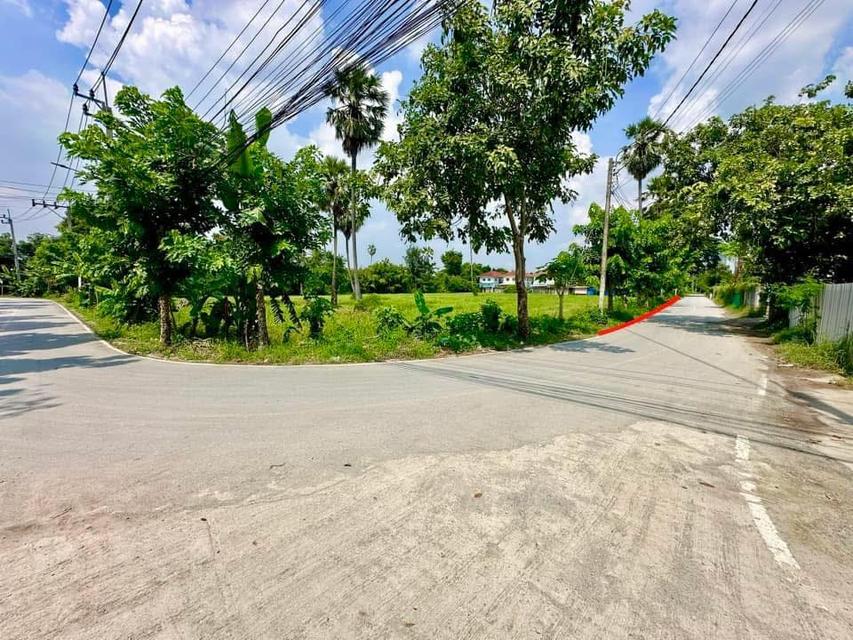 ขายถูก ที่ดิน เมืองนนทบุรี ( 25,000/ตร.ว.) 9