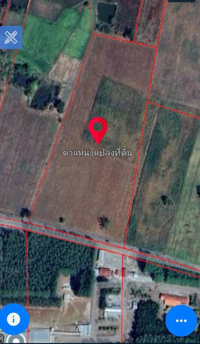 ขายที่ดิน 20ไร่เศษ ต.ลาดแค ชนแดน ขายเหมายกแปลง1.9 ล้าน 7