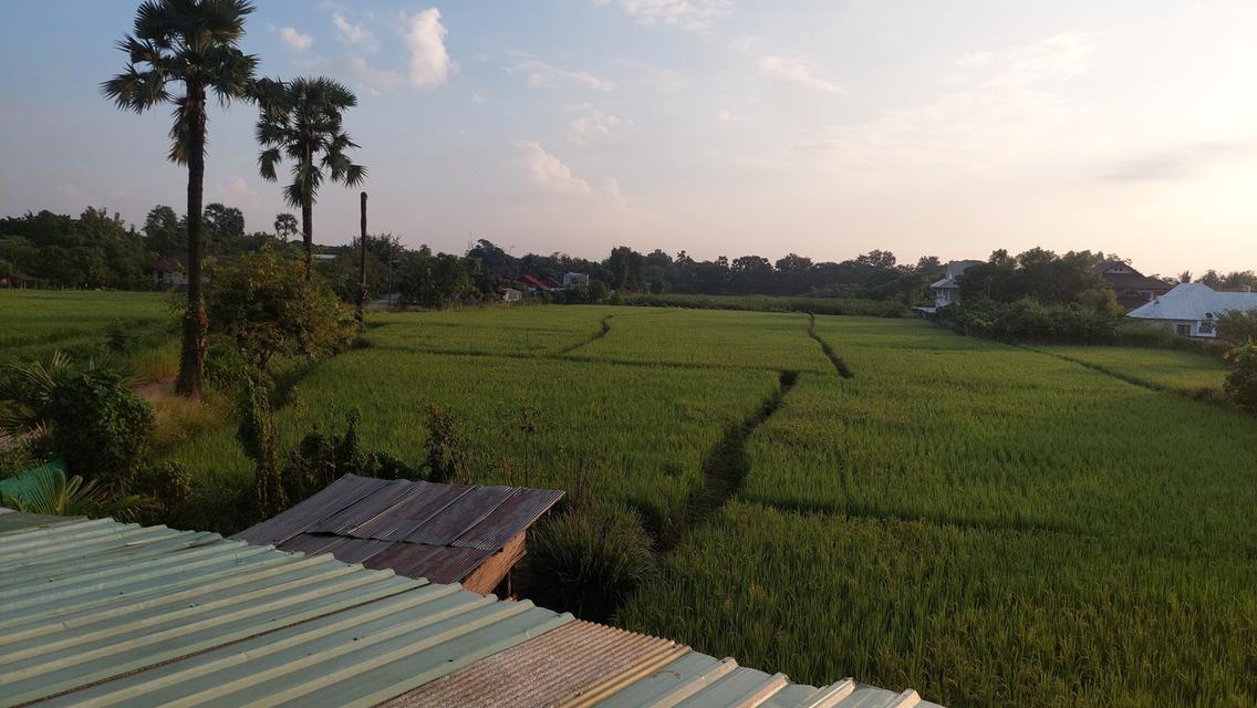 ขายบ้านในฝันของหลายๆคน"บ้านไร่ปลายนา"ทางตะวันตกเฉียงใต้ของสนามบินนานาชาติเชียงใหม่เชิงดอยพระธาตุดอยคำดูตามพิกัด 6