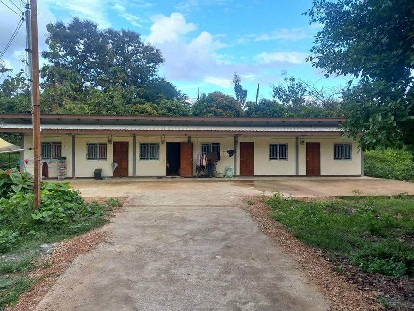 ขายที่ดินสิ่งปลูกสร้าง 13-3-22 ไร่ สวนมะม่วงน้ำดอกไม้ ตำบลพระธาตุผาแดง อำเภอแม่สอด จังหวัดตาก 8