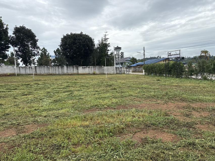 ที่ดินสถานที่ท่องเที่ยว ครุฑแดง หน้ากว้าง 67 ม ซีเมนต์ ระบบนำ้ - ไฟฟ้าเข้าถึง 20