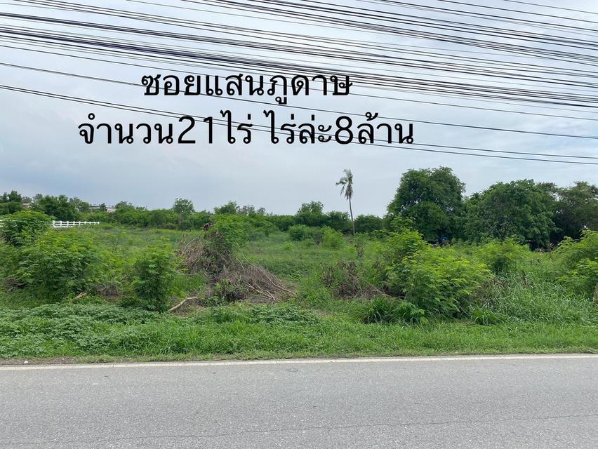 ที่ดิน 3