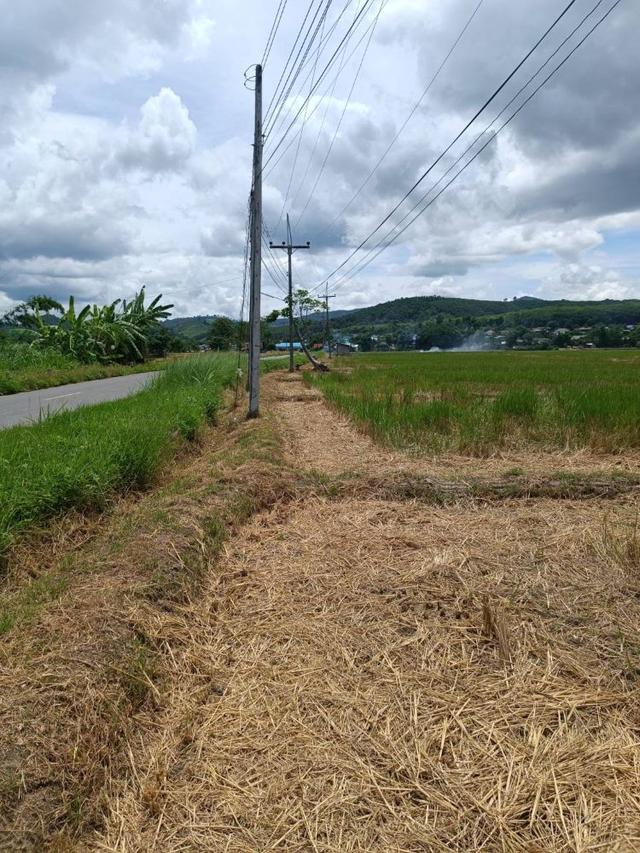 ขายที่ดิน 14 ไร่ 37 ตร.ว. ติดถนน โฉนดครุฑแดง พร้อมโอน ใกล้สถานที่ท่องเที่ยว อำเภอเวียงป่าเป้า จังหวัดเชียงราย
