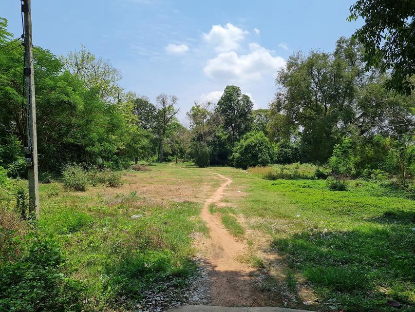 ต้องการขายที่ดิน จำนวน 15.1.58 จังหวัดราชบุรี อำเภอปากท่อ บรรยากาศดีใกล้แหล่งความเจริญ น้ำไฟพร้อม 8