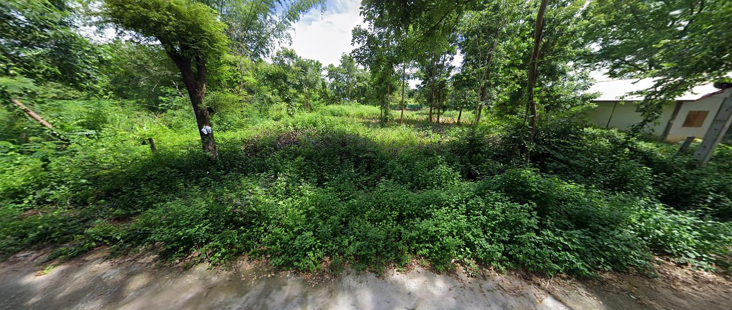 ที่ดินชัยภูมิ บ้านแท่น 1