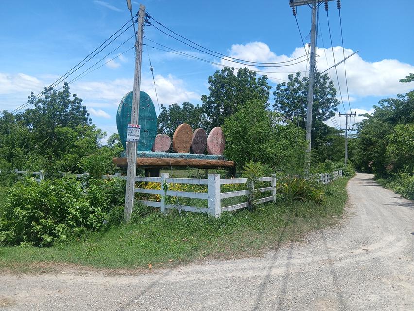 ขายที่ดิน 2-2-55 ไร่ เขาช่องพราน ตำบลเตาปูน อำเภอโพธาราม จังหวัดราชบุรี 10