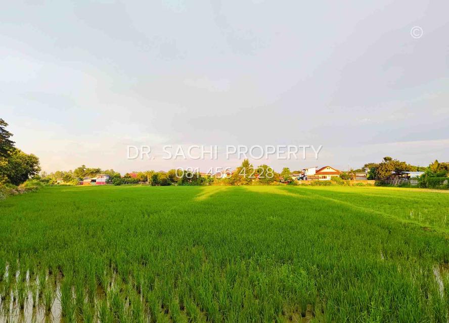 #ขายที่ดินสวยเชียงราย ทำเลดี ใกล้ ถ.บายพาสตะวันออก เพียง 1 กม. สนามบินเชียงราย (13-2-50.3 ไร่ ) 3