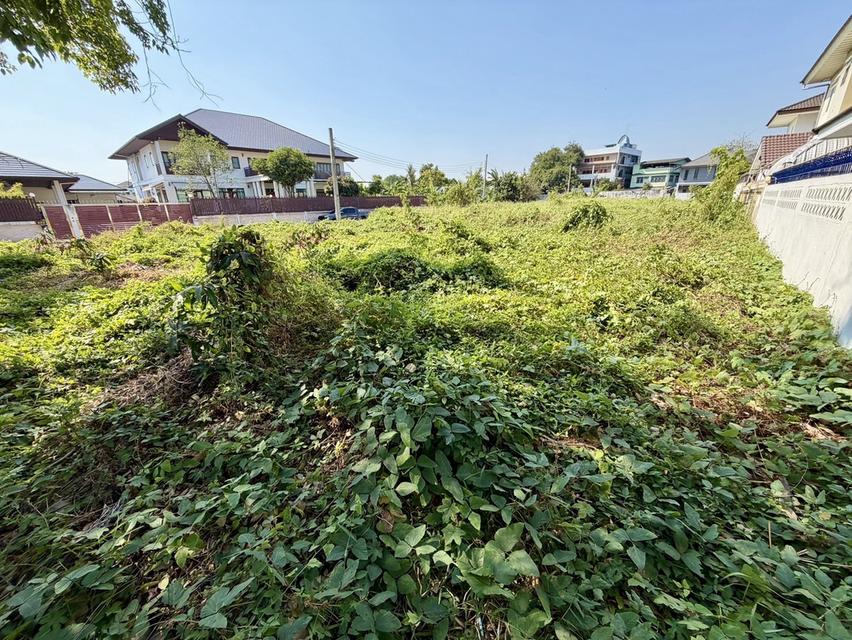 ขายที่ดินเปล่า ขนาด 105 ตร.ว. ซ.แก้วเงินทอง 40/1 ตลิ่งชัน เดินทางสะดวก ใกล้แหล่งชุมชน 6