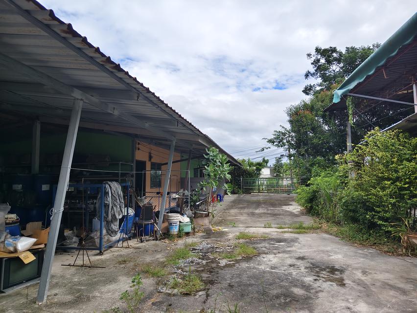 ที่ดินพร้อมอาคาร ห้องแถว โกดังเก็บของ 10