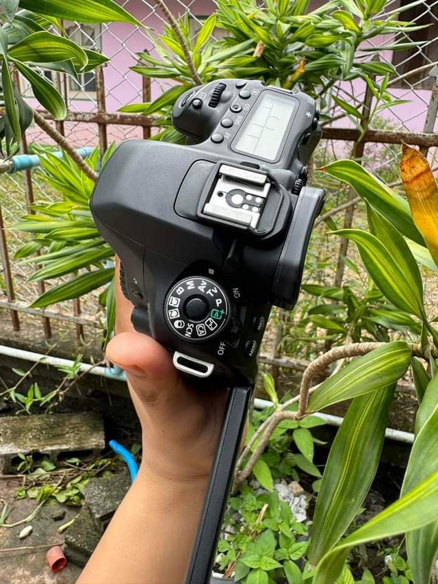 ขาย Canon EOS 80D + Lens 18-55mm IS STM + Canon EF 75-300mm 3