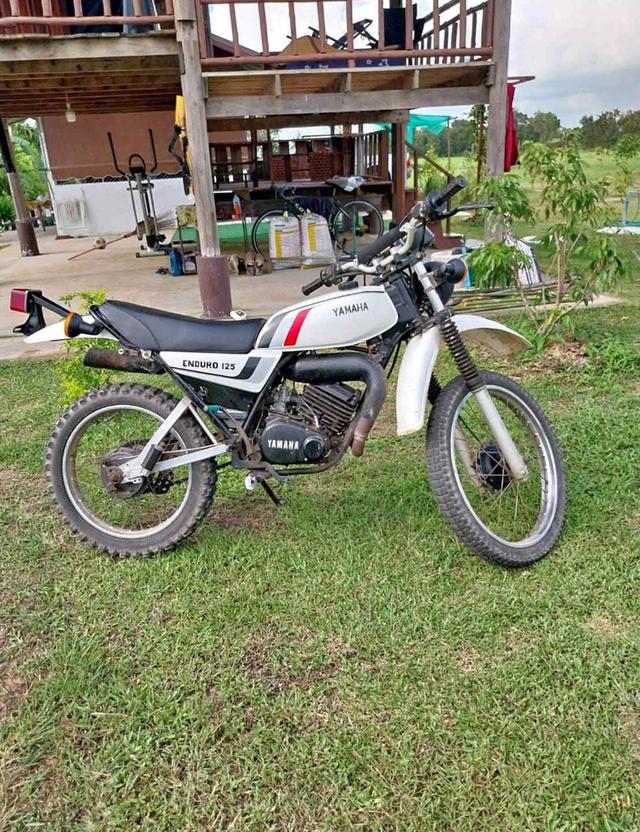 Yamaha DT125 ปี 1982 รถสภาพสวยมือสอง 3