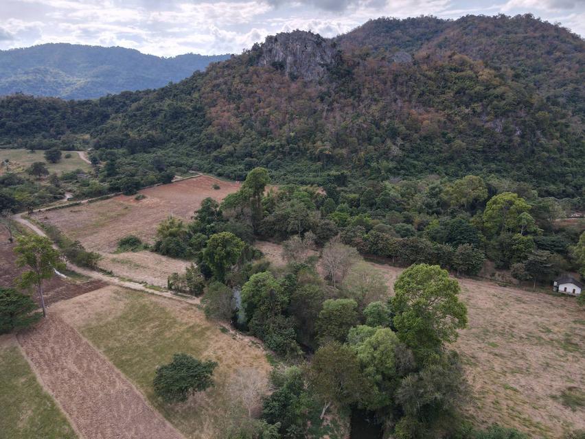 ขายด่วน ที่ดิน ปากช่อง จ.นครราชสีมา ติดลำตะคอง ห่างถนนธนะรัชต์ 200 เมตร พื้นที่ 12-2-54 ราคาขาย 90 ลบ.( เจ้าของขายเอง ) 1