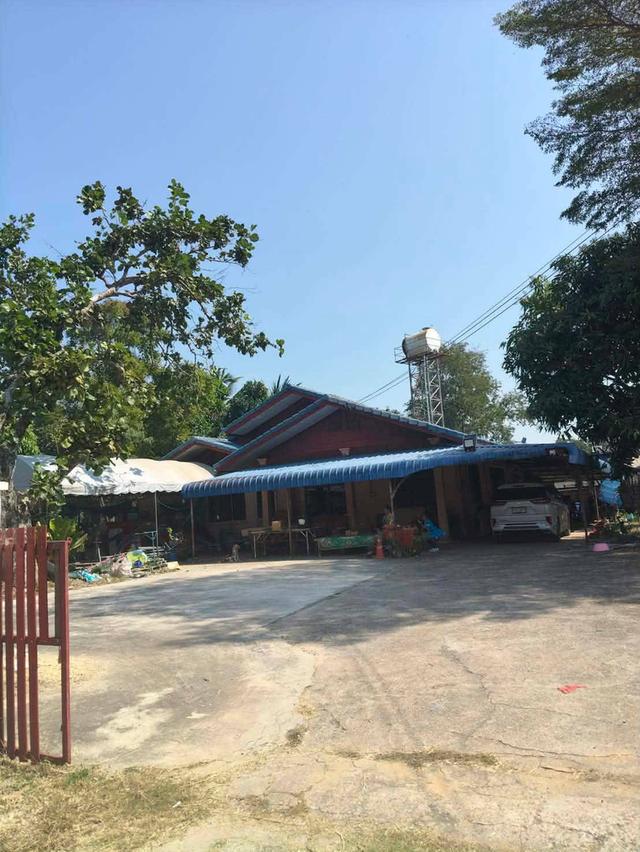 ที่ดิน พร้อมบ้านสวน ใจกลางเมือง ชุมชนไม่แออัด เงียบสงบ 7