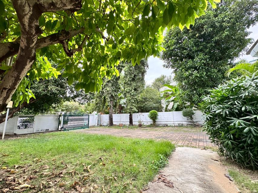 ให้เช่าบ้านเดี่ยว หมู่บ้านปัญญา ซอยพัฒนาการ 30 ใกล้ APL รามคำแหง (N.1927) 11