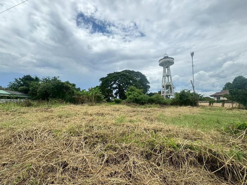 ที่ดินตำบลหนองช้างคืน จ.ลำพูน 9