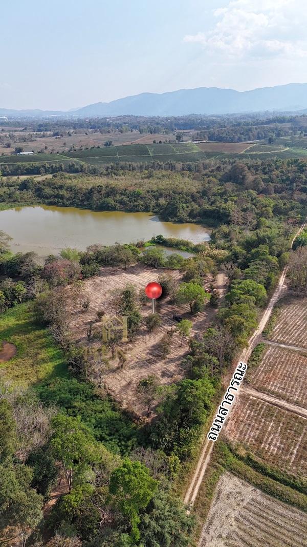 ขายที่ดิน 12 ไร่กว่า ทำเลศักยภาพ ใกล้แหล่งท่องเที่ยว จ.เชียงราย อ.แม่จัน ต.ศรีค้ำ เดินทางสะดวก โทร 081-0321111 5