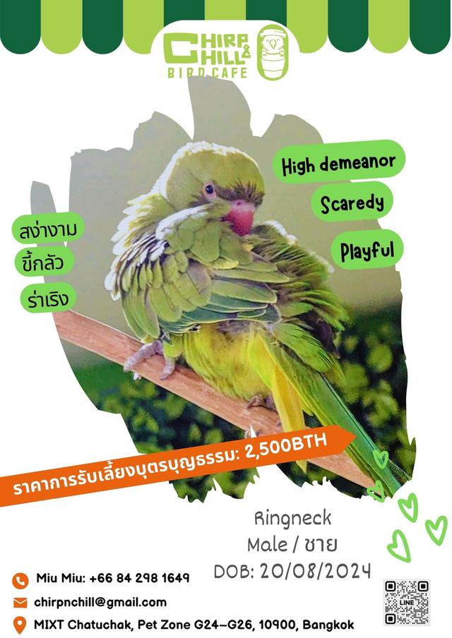 Chirp and Chill